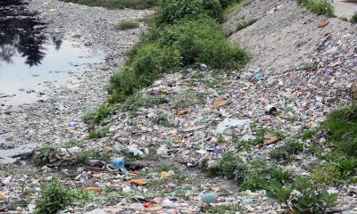 Fotografía de archivo que muestra basura acumulada en el Río Tacubaya, en la Ciudad de México (México). EFE/ Mario Guzmán