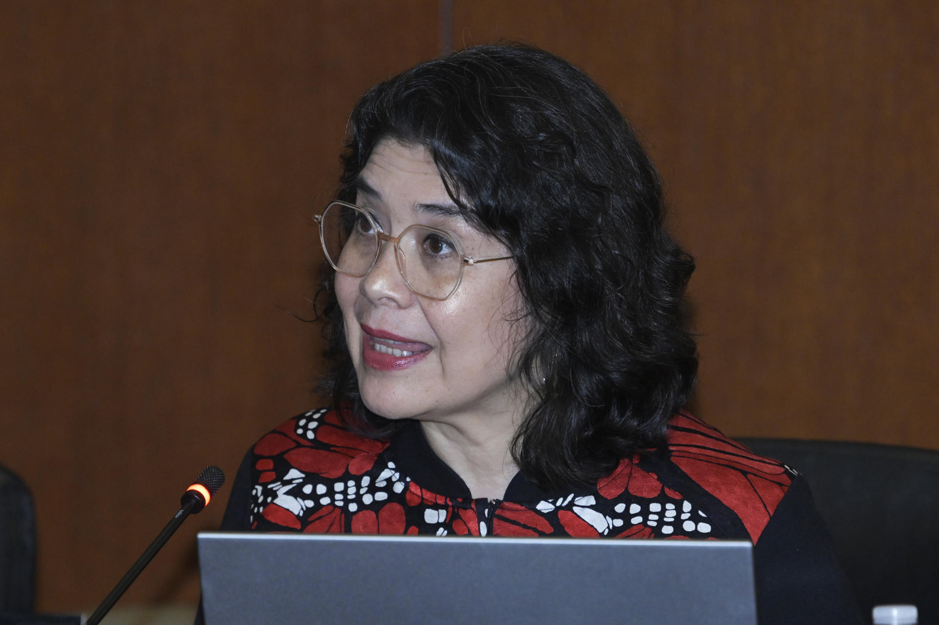 La secretaria ejecutiva de la Comisión Interamericana de Derechos Humanos (CIDH), Tania Reneaum, habla durante una sesión ordinaria del Consejo Permanente de la Organización de los Estados Americanos (OEA) este miércoles, en Washington (Estados Unidos). EFE/ Lenin Nolly