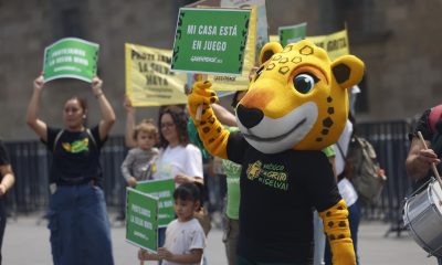 Integrantes de Greenpeace y la mascota jaguar 'Kanan' se manifiestan este sábado, a las afueras de Palacio Nacional en Ciudad de México (México). EFE/Sáshenka Gutiérrez