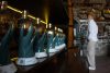 Turistas recorren la boutique de la destilería 'El Castillo', este sábado (ayer), en el poblado de Tequila en Jalisco (México). EFE/ Francisco Guasco