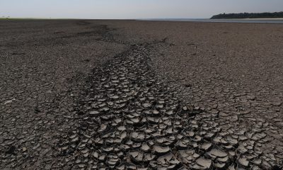 Fotografía de archivo del 28 de octubre de 2023 donde se muestra una zona de río Negro afectada por una sequía en el estado de Amazonas (Brasil). EFE/ André Coelho