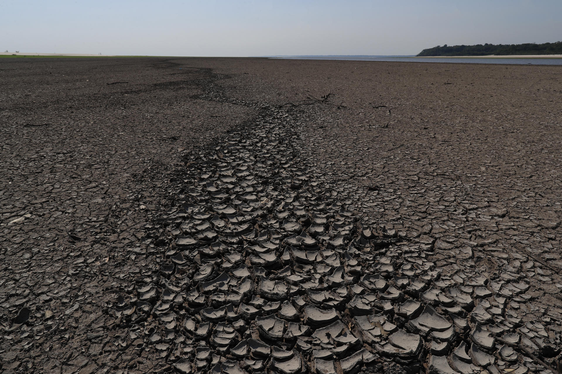 Fotografía de archivo del 28 de octubre de 2023 donde se muestra una zona de río Negro afectada por una sequía en el estado de Amazonas (Brasil). EFE/ André Coelho