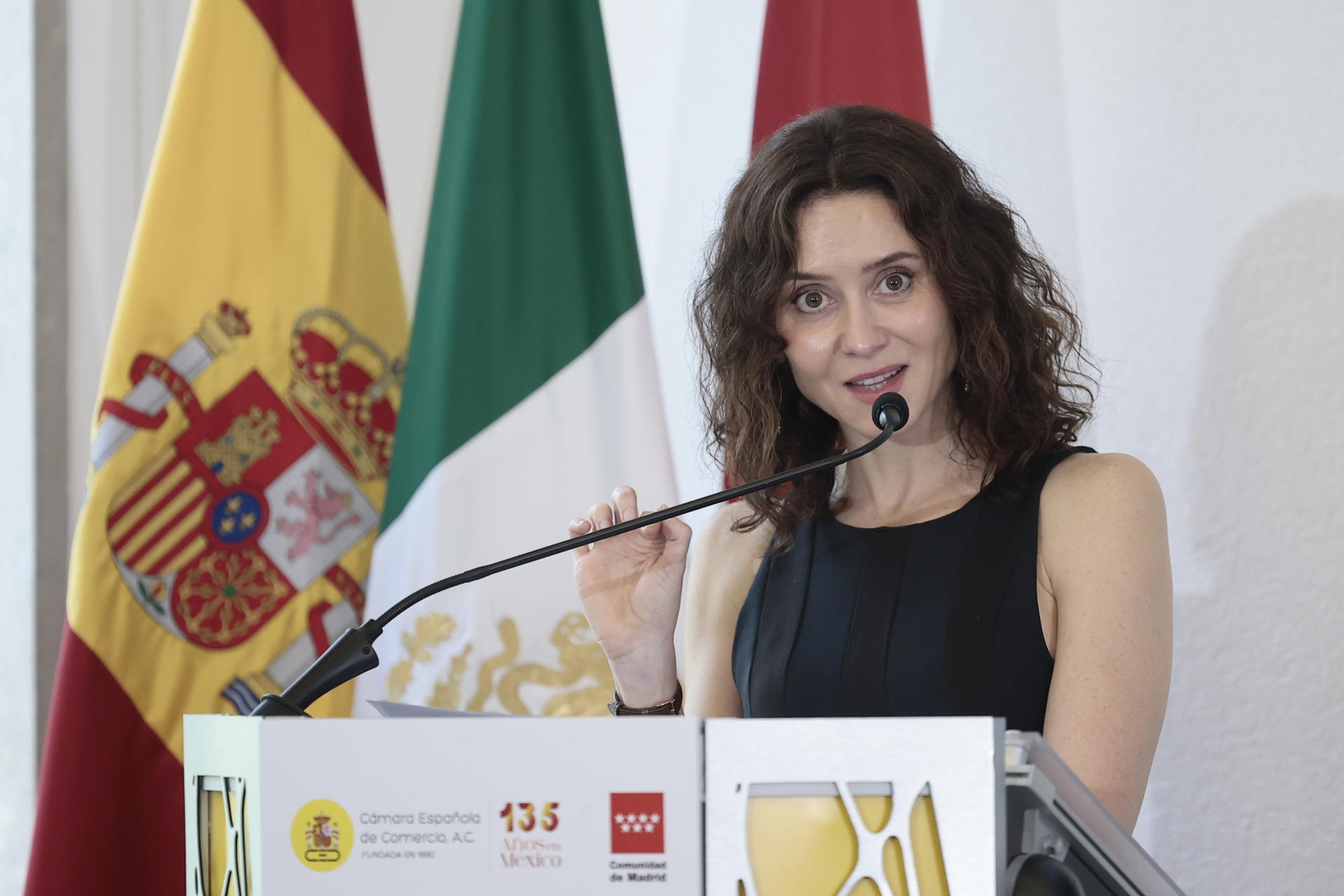 La presidenta de la Comunidad de Madrid, Isabel Díaz Ayuso, habla este lunes, en la Cámara Española de Comercio en Ciudad de México (México). EFE/José Méndez