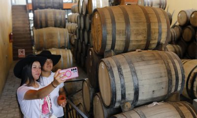 Turistas visitan la cava de la destilería Don Tomás, este sábado (ayer), en el poblado de Tequila en Jalisco (México). EFE/ Francisco Guasco