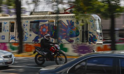 Fotografía del tren ligero con imágenes de ajolotes este sábado (ayer), en la Ciudad de México (México). EFE/Isaac Esquivel
