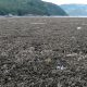 Fotografía cedida por el Departamento filipino de Medioambiente y Recursos Naturales. Una larga pradera de coral de la costa de Pangyan, en el sur de Filipinas, quedó en la superficie a raíz de que un terremoto de magnitud 7,8 elevara el lecho marino hasta dos metros e hiciera retroceder unos 200 metros el litoral. EFE/ Departamento Filipino de Medioambiente y Recursos Naturales /SOLO USO EDITORIAL NO VENTAS /SOLO DISPONIBLE PARA ILUSTRAR LA NOTICIA QUE ACOMPAÑA (CRÉDITO OBLIGATORIO)