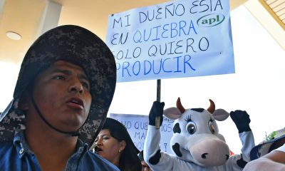 Productores de leche protestan para exigir el fin de los bloqueos de carreteras en el país este miércoles, en el Aeropuerto Jorge Wilstermann en Cochabamba (Bolivia). EFE/Jorge Ábrego