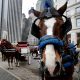 Fotografía de archivo de un grupo de carruajes tirados por caballos, cerca del Parque Central, en Nueva York (EE.UU). EFE/Jutin Lane