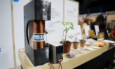 Fotografía que muestra el sistema de magnetoestimulación vegetal este jueves, en Montevideo (Uruguay). EFE/Hernán Ogállar Vidal