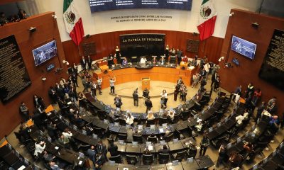 Fotografía de archivo que muestra a los asistentes de una sesión en el Senado de la República en Ciudad de México (México). EFE/ Mario Guzmán