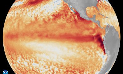 Fotografía satelital cedida por la Oficina Nacional de Administración Oceánica y Atmosférica (NOAA) que muestra la diferencia entre las temperaturas promedio de la superficie del mar en el ecuador del océano Pacífico tropical y la línea de referencia utilizada por el programa Coral Reef Watch, representada mediante diversas tonalidades de rojo y naranja para indicar temperaturas más cálidas. EFE/NOAA Satellites /SOLO USO EDITORIAL /NO VENTAS /SOLO DISPONIBLE PARA ILUSTRAR LA NOTICIA QUE ACOMPAÑA /CRÉDITO OBLIGATORIO