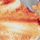 Fotografía satelital cedida por la Oficina Nacional de Administración Oceánica y Atmosférica (NOAA) que muestra la diferencia entre las temperaturas promedio de la superficie del mar en el ecuador del océano Pacífico tropical y la línea de referencia utilizada por el programa Coral Reef Watch, representada mediante diversas tonalidades de rojo y naranja para indicar temperaturas más cálidas. EFE/NOAA Satellites /SOLO USO EDITORIAL /NO VENTAS /SOLO DISPONIBLE PARA ILUSTRAR LA NOTICIA QUE ACOMPAÑA /CRÉDITO OBLIGATORIO