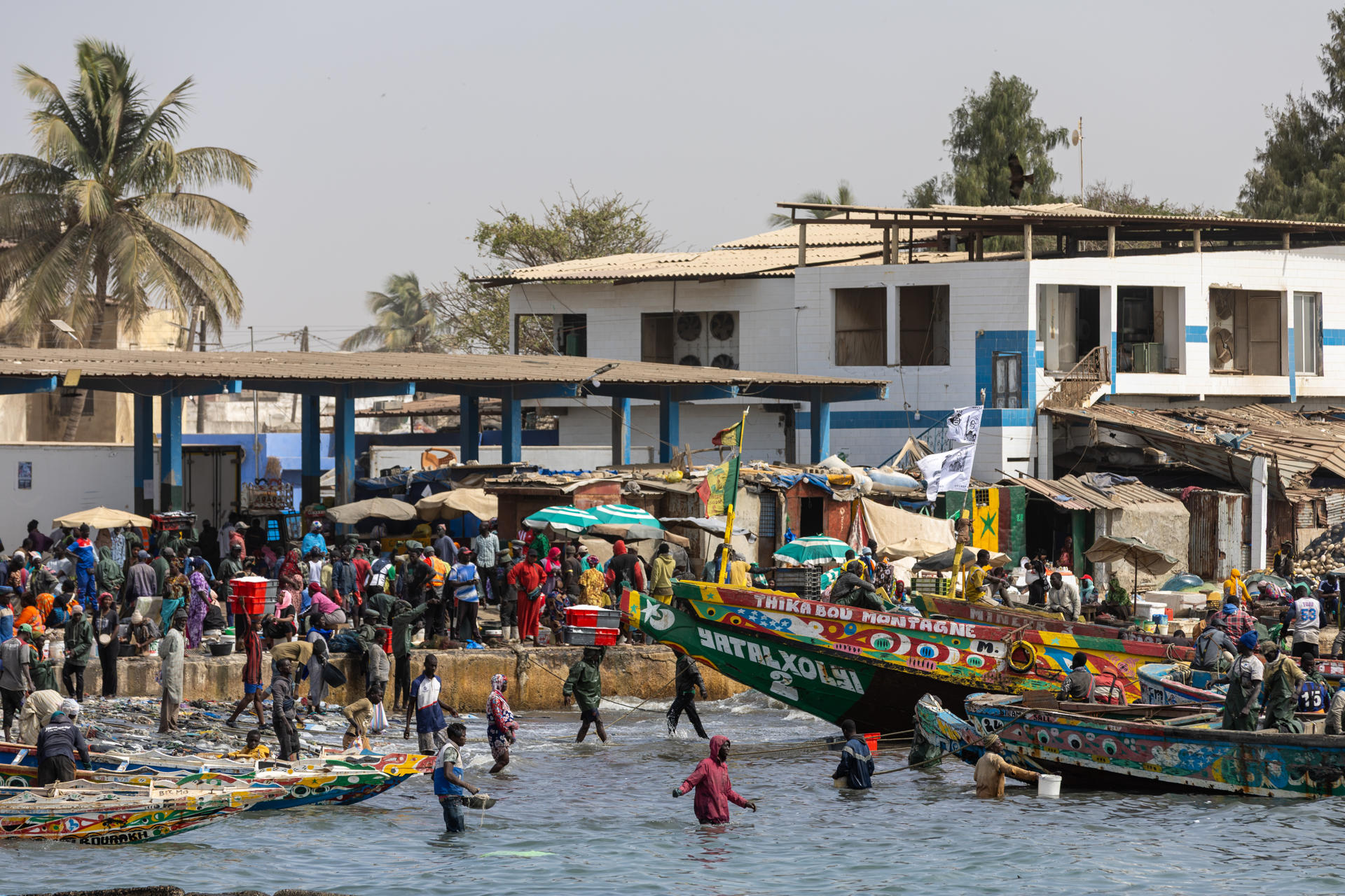 Imagen del puerto de Bargny (Senegal), desde donde miles de personas emprenden cada año una peligrosa ruta migratoria hacia Canarias, el pasado 4 de junio. EFE/Jérôme Favre